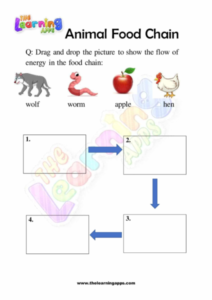 Animal Food Chain 01