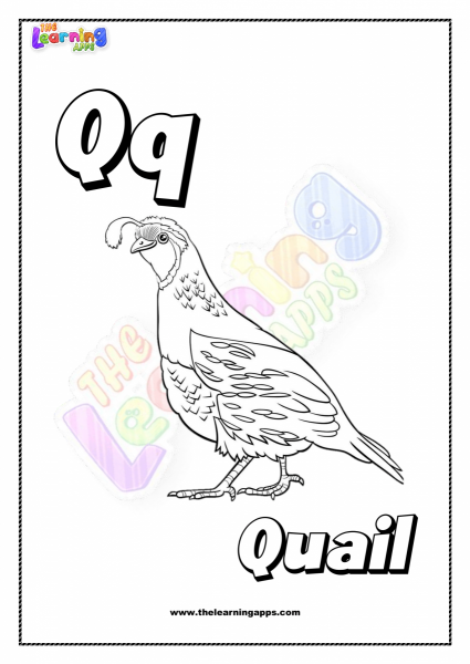 Animal Q Printable For Kids - Worksheet