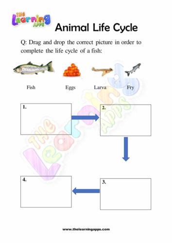 Animal_Life_Cycle_09_(1)_(1)