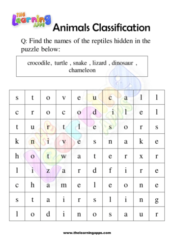 Animals Classification 09