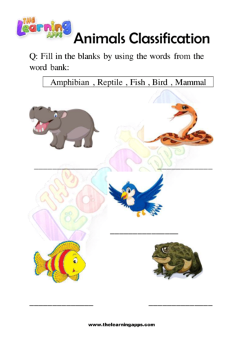 Animals Classification 10