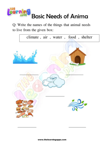 Basic Needs of Animal 02