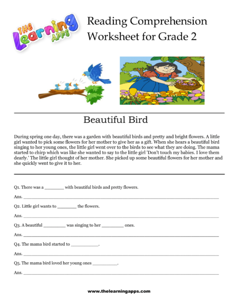 Beautiful Bird Comprehension