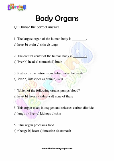 Body-Organs-Worksheets-Grade-3-Activity-7