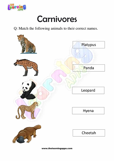 Carnivores Worksheets for Grade 3 – Activity 1