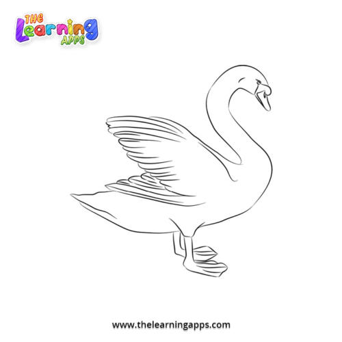 Ducks Coloring Worksheet