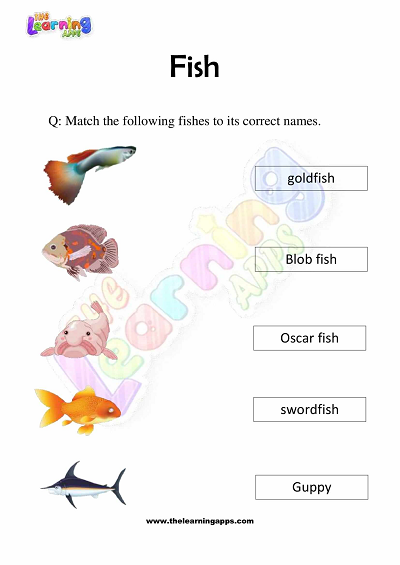 Download Free Printable Fish Worksheets for Grade 3