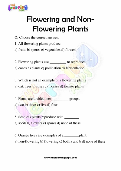 Flowering and Non Flowering Plants Worksheets for Grade 3 - Activity 7