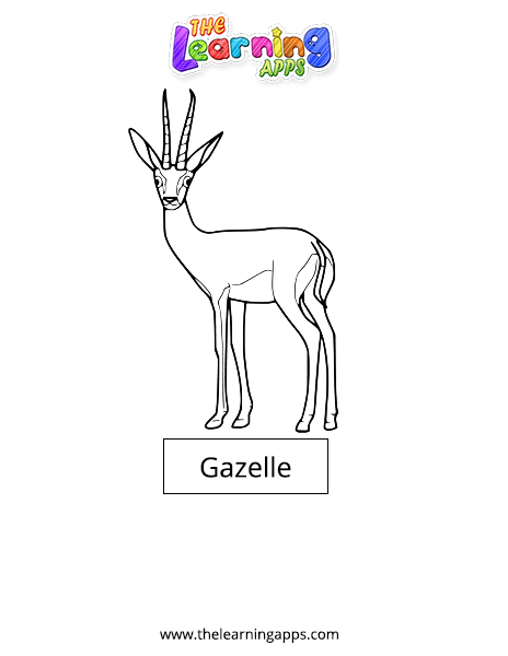 Gazelle