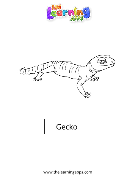 Gecko