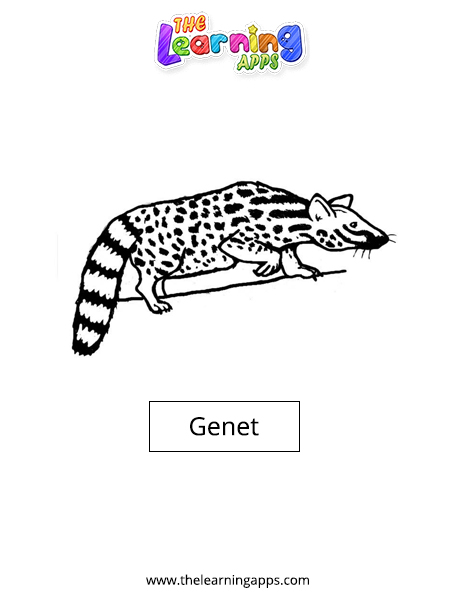 Genet