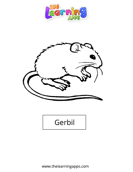 Gerbil