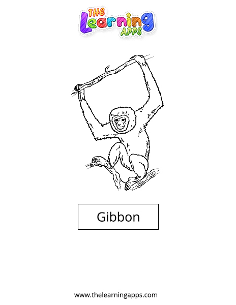 Gibbon