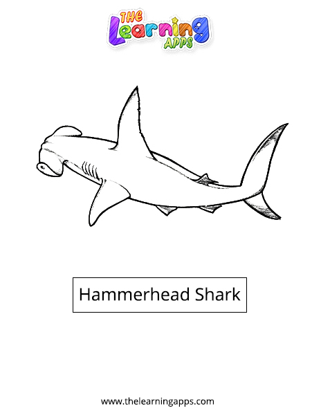 Hammerhead shark