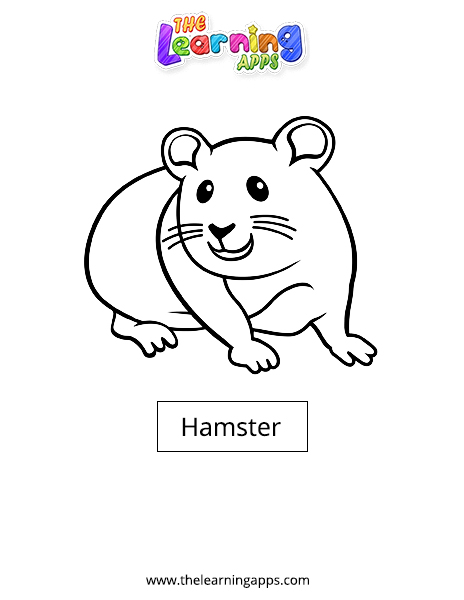 Hamster