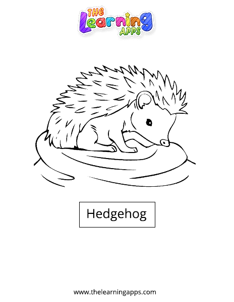 Hedgehog