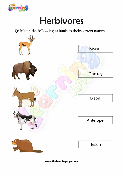 Herbivores Worksheets for Grade 3 - Activity 1