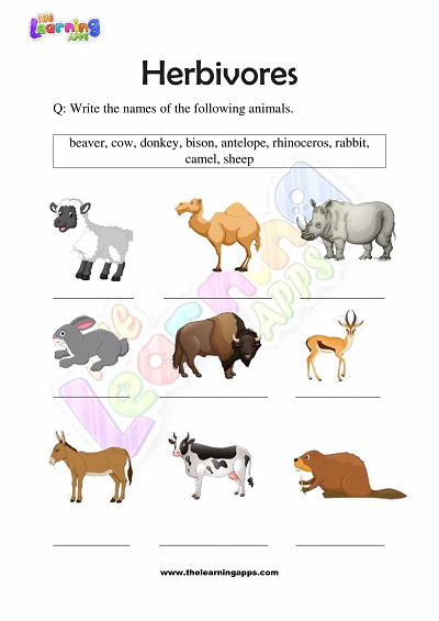 Herbivores Worksheets for Grade 3 - Activity 2