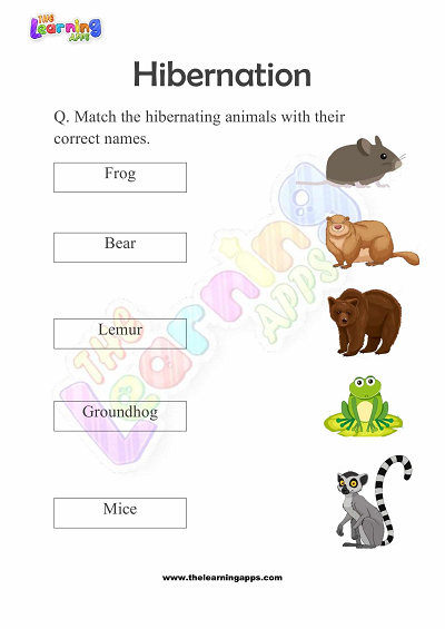 Hibernation-Worksheets-for-Grade-1-Activity-3