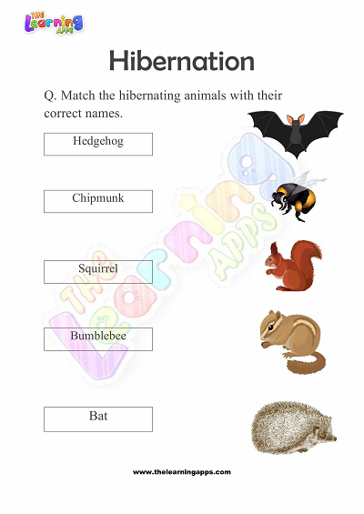 Hibernation-Worksheets-for-Grade-1-Activity-4