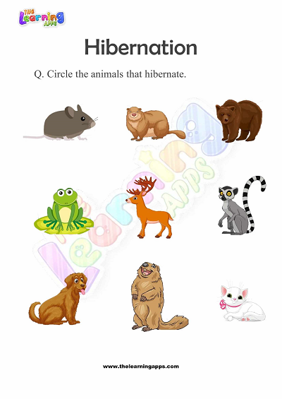 Hibernation-Worksheets-for-Grade-1-Activity-6