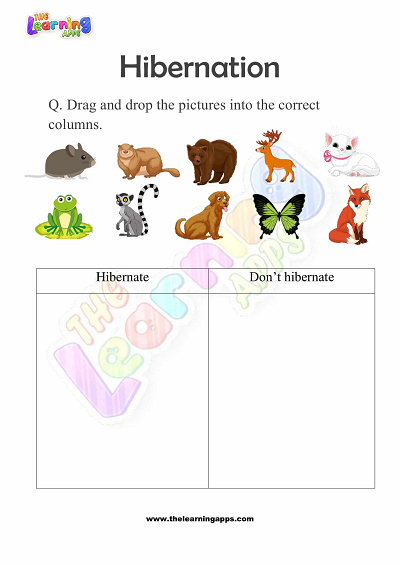 Hibernation-Worksheets-for-Grade-1-Activity-7