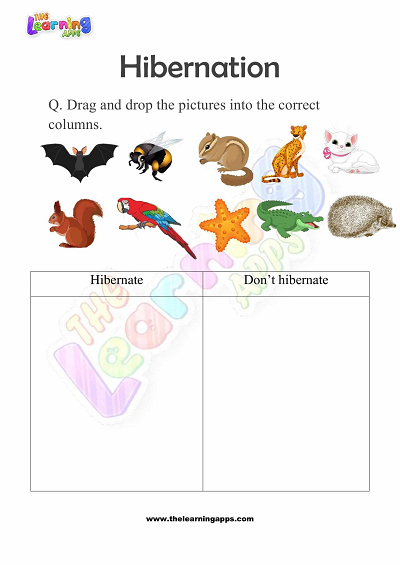 Hibernation-Worksheets-for-Grade-1-Activity-8