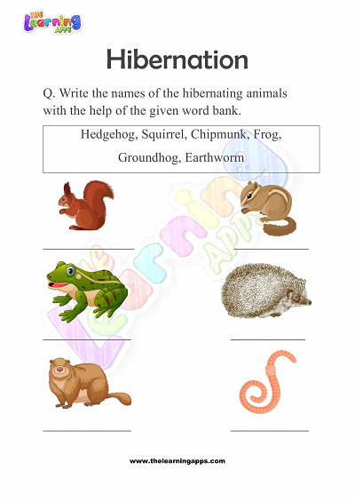 Hibernation-Worksheets-for-Grade-2-Activity-2