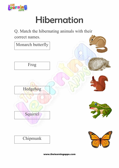 Hibernation-Worksheets-for-Grade-2-Activity-5