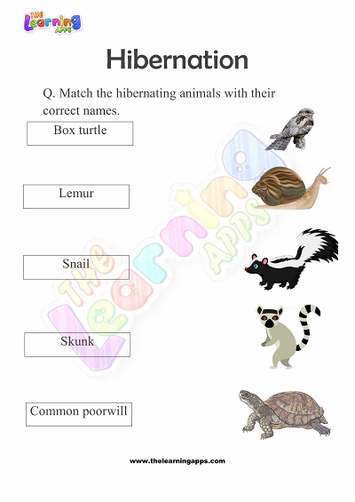 Hibernation-Worksheets-for-Grade-2-Activity-6