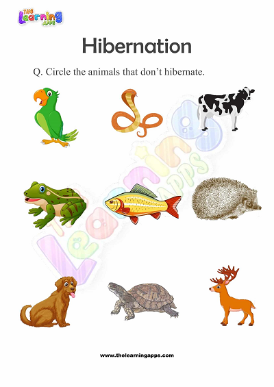 Hibernation-Worksheets-for-Grade-2-Activity-8