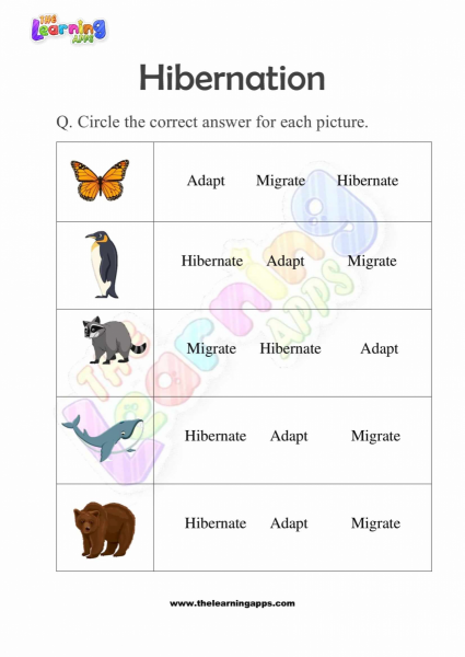 Hibernation-Worksheets-for-Grade-3-Activity-5