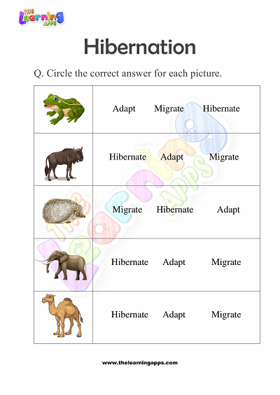 Hibernation-Worksheets-for-Grade-3-Activity-6