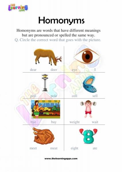 Homonyms 01