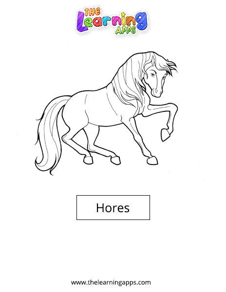 Horse