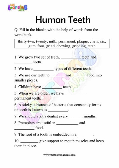 Human Teeth Worksheets for Grade 3 – Activity 3