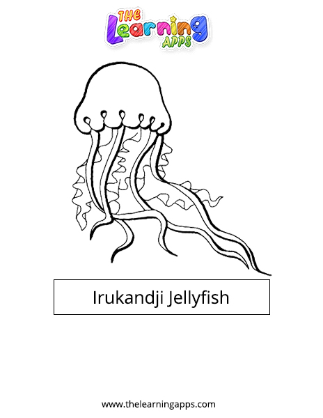 Irukandji Jellyfish