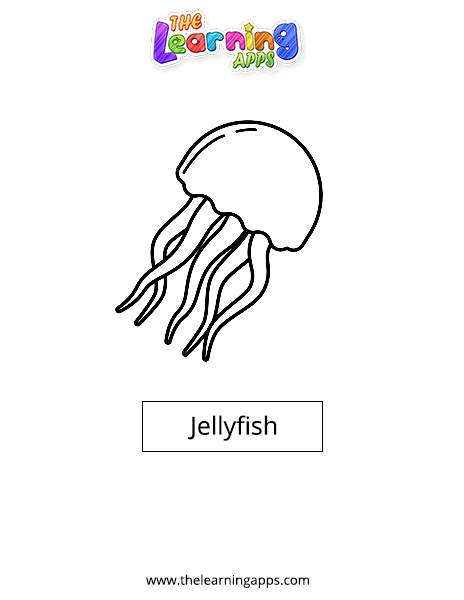 Jellyfish