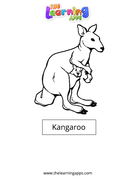 Kangaroo