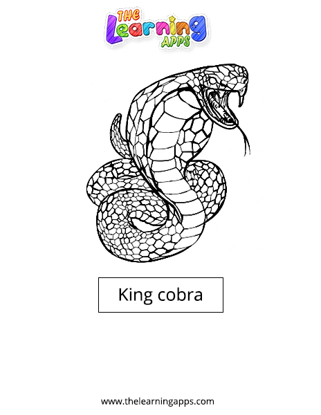 King cobra