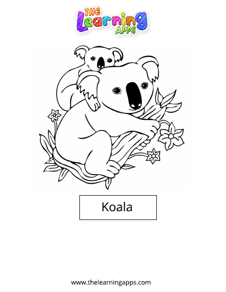 Koala