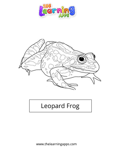 Leopard Frog