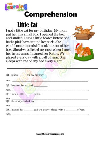 Little Cat Comprehension