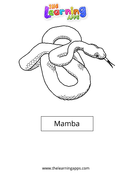 Mamba