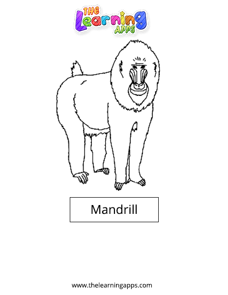 Mandrill