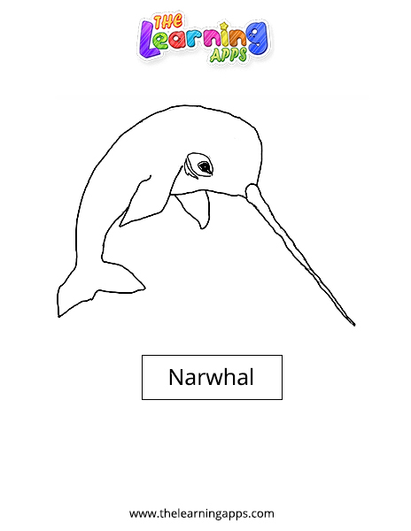 Narwhal