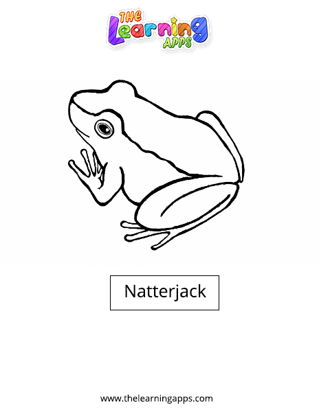 Natterjack