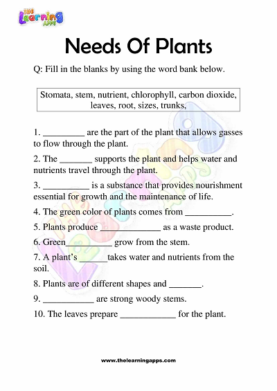 Needs of Plants Worksheets for Grade 3 – Activity 2