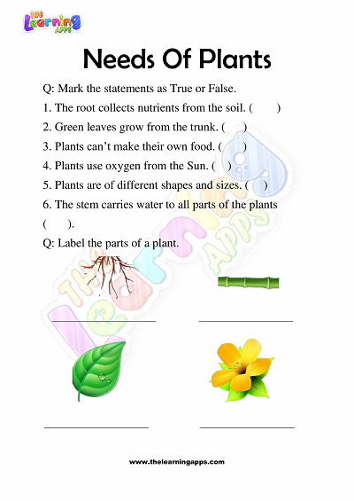 Download Printable Needs of Plants Worksheets for Grade 3