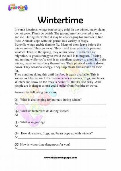 Non Fiction Reading Passages - Grade 3 - Wintertime